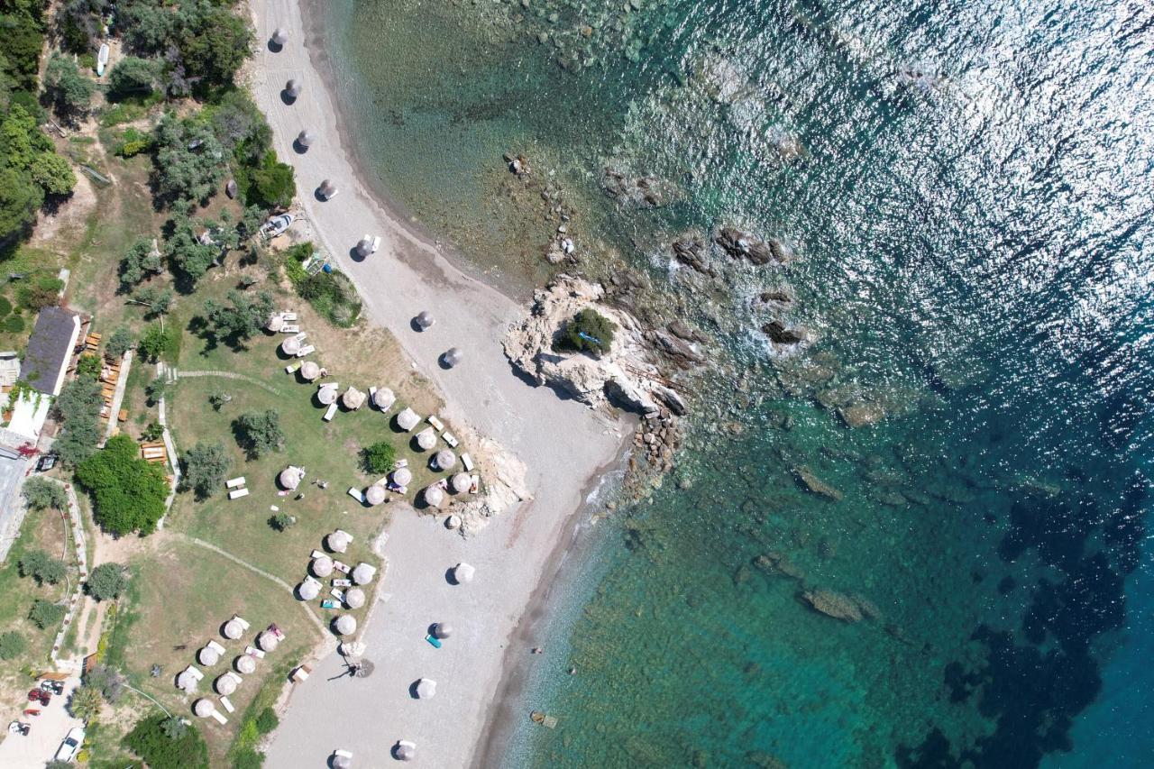 Kechria Bay Villas Skiáthos Eksteriør bilde